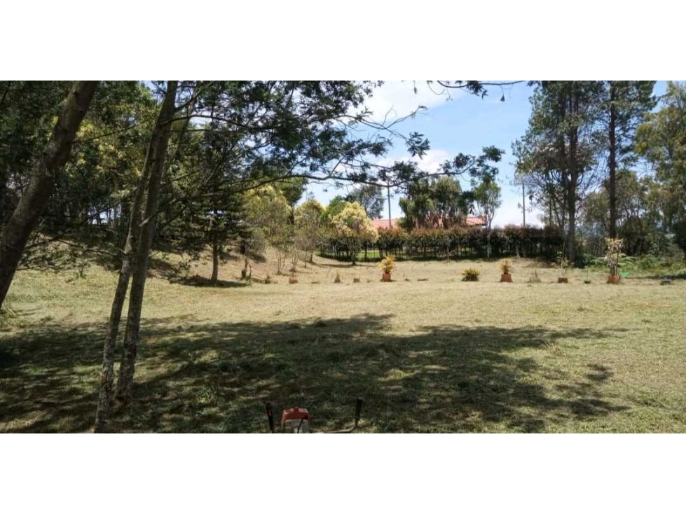 VENTA DE 2 LOTES EN EL ALTO DE PALMAS EN PARCELACIÓN. — foto 6