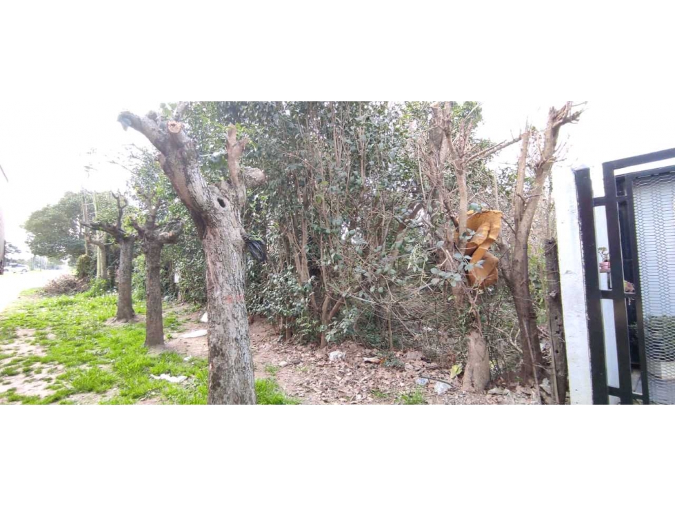 venta terreno 600 m² en paso del rey - 5