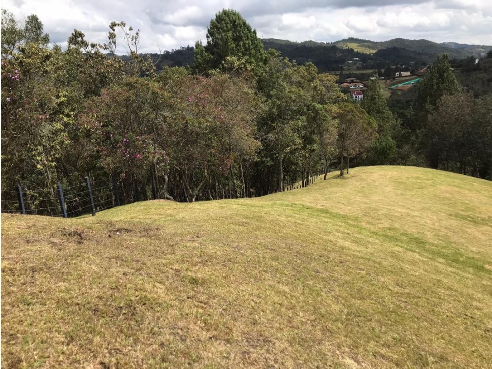 Lote Alto de las Palmas | 3.150 m² | licencia lista, 3 lotes — foto 3