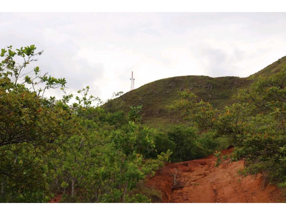 VENTA DE 3 LOTES PARA USO AGRICOLA COCLE PUEBLOS UNIDOS - 2