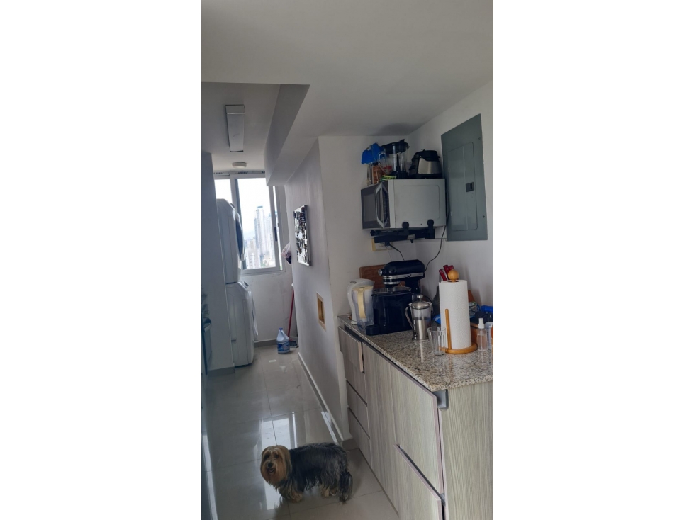 VENTA DE ACOGEDOR APARTAMENTO DE 90m2 EN CARRASQUILLA PH DE LA VISTA — foto 6