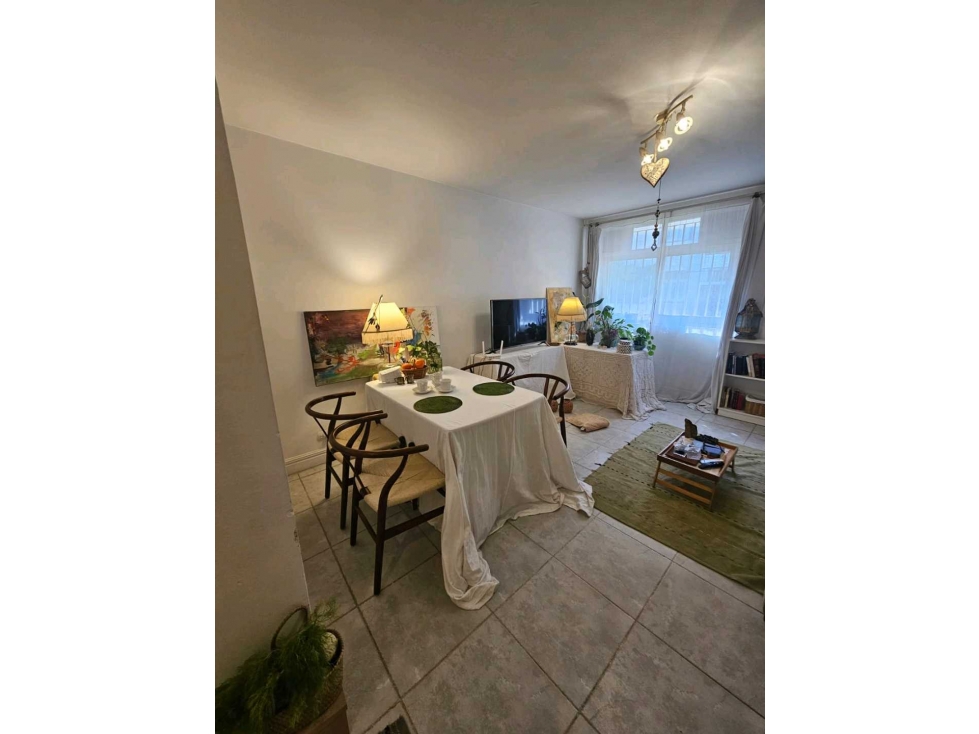 VENTA DE AGRADABLE DEPARTAMENTO EN CUARTA SECCIÓN- CIUDAD DE MENDOZA - 2
