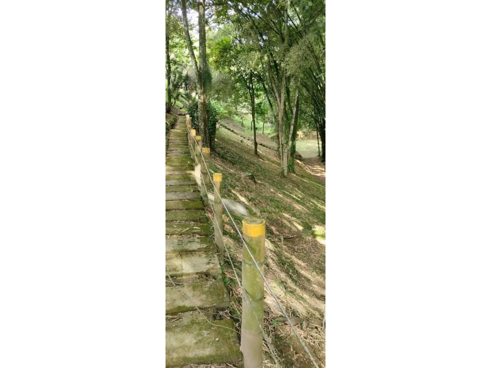 VENTA DE APARTAMENTO BOSQUES DE LA SALLE PEREIRA RISARALDA — foto 5