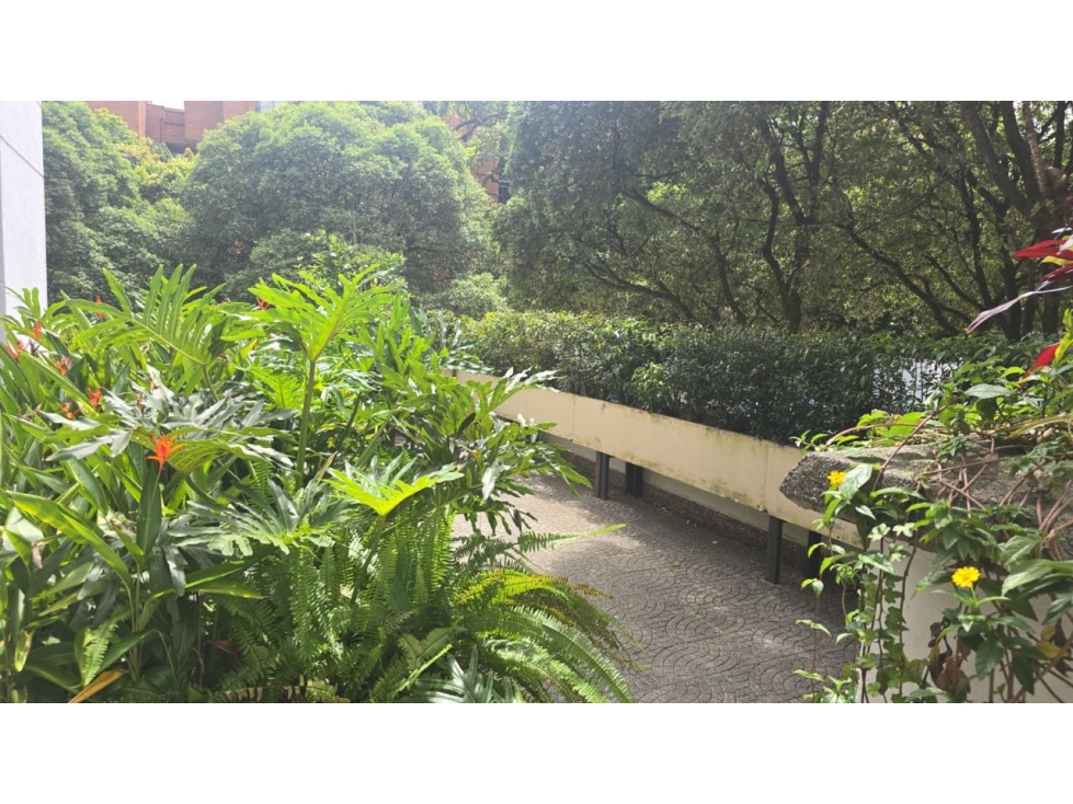 VENTA DE APARTAMENTO CON TERRAZA — foto 3
