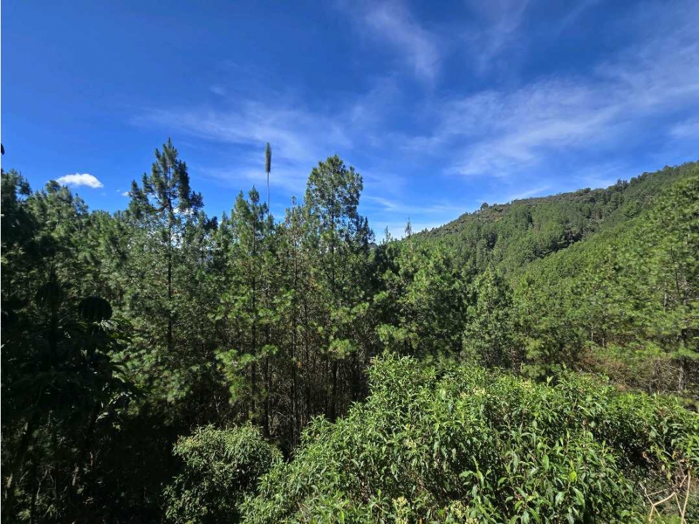 Venta de apartamento en zona campestre de El Retiro. — foto 6