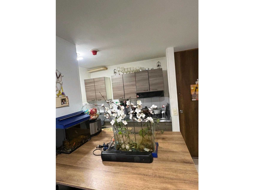 Apartamento frente a la estación madera con excelente vista. — foto 4