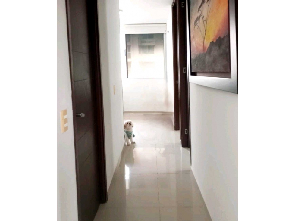 Venta de apartamento Villa Carolina — foto 6