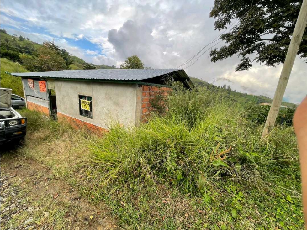 Venta de bodega mas 1.000 adobes - 3