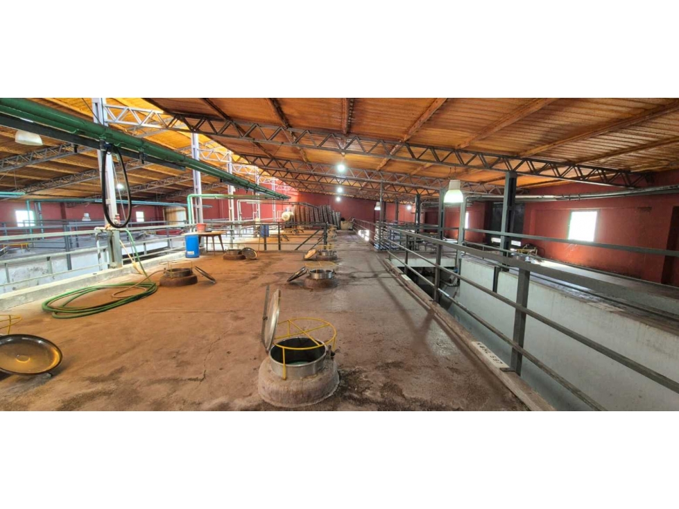 VENTA DE BODEGA SOBRE RUTA 7- SAN MARTIN - 2