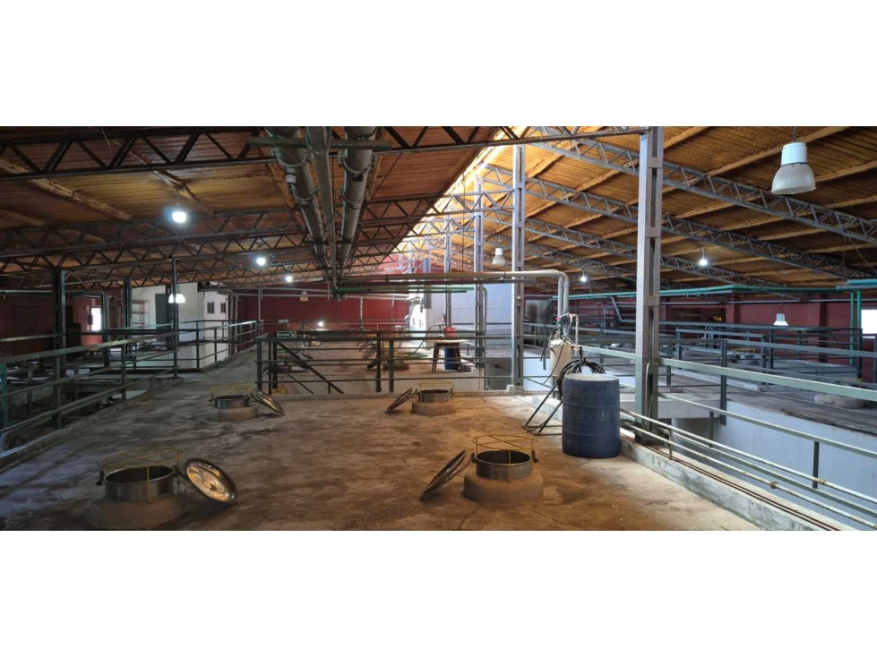 VENTA DE BODEGA SOBRE RUTA 7- SAN MARTIN - 3