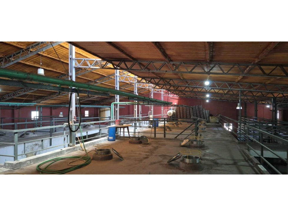 VENTA DE BODEGA SOBRE RUTA 7- SAN MARTIN - 4