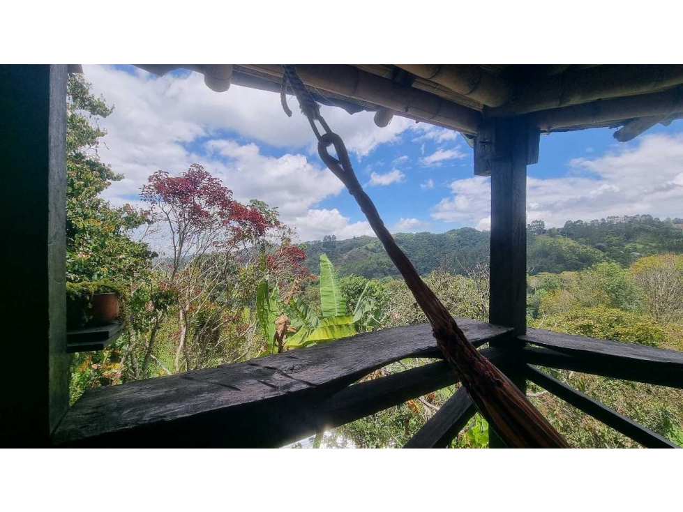 Venta de cabaña o casa campestre en palestina Quindio hermosa vista - 5