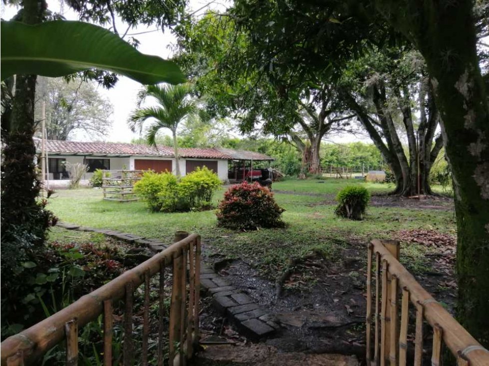 VENTA AMPLIO LOTE CON CASA CAMPESTRE EN GINEBRA VALLE (VT) - 6