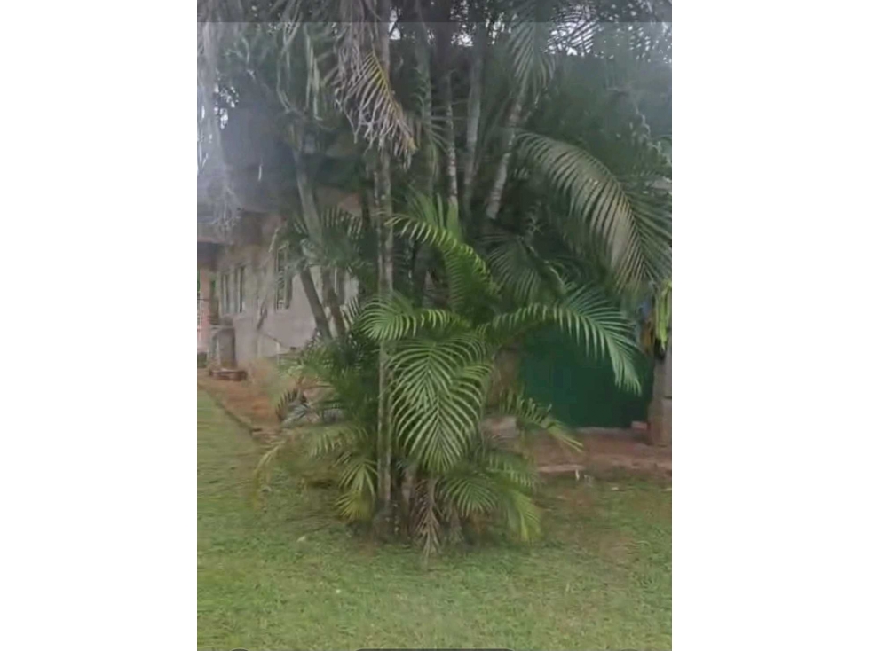 VENTA DE CASA EN AGUADULCE COCLÉ — foto 4