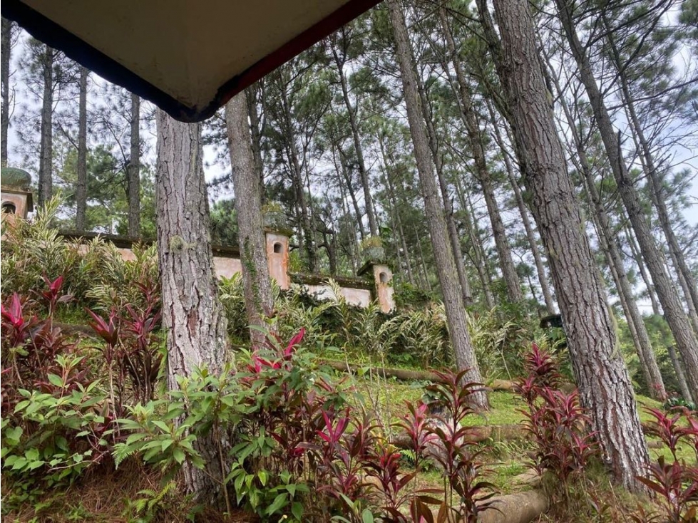 VENTA DE CASA EN ALTOS DEL MARIA 300MTS JP — foto 6