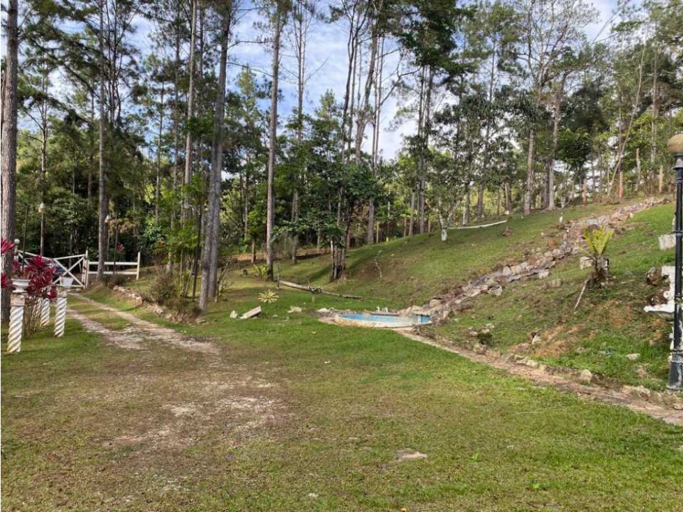 Venta de casa en Cerro Azul - 4