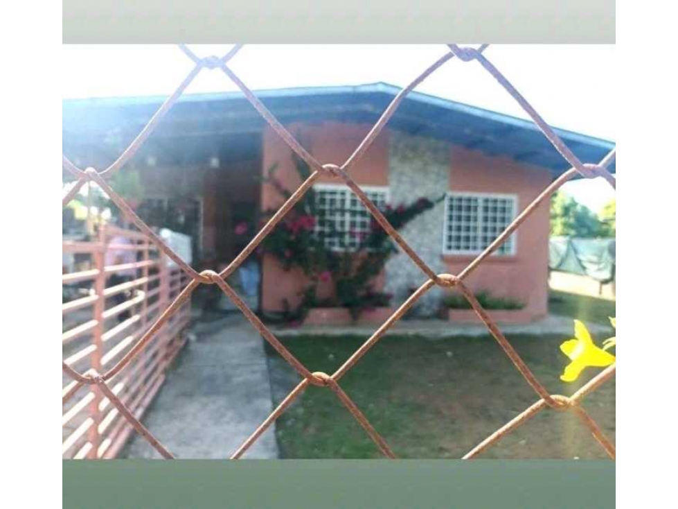 VENTA DE CASA EN DAVID LAS LOMAS 4R CERCA A LA VIA INTERAMERICANA — foto 4