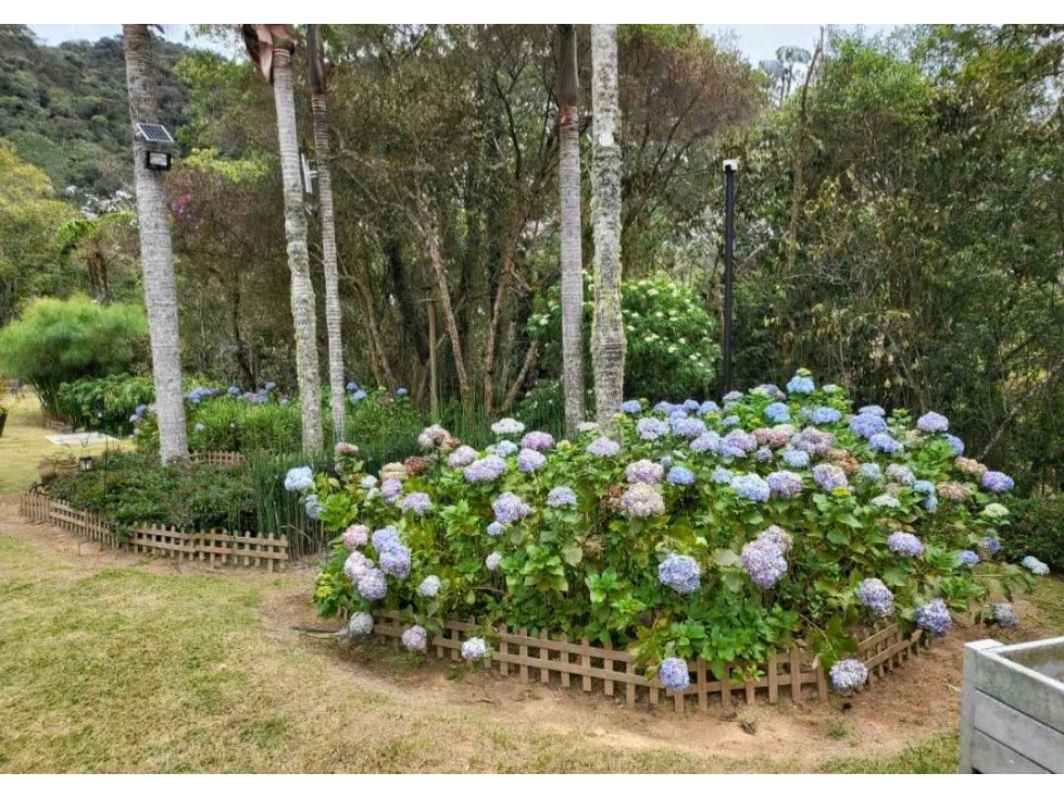 VENTA DE CASA EN EL ALTO DE LAS PALMAS, CON PISCINA PRIVADA. — foto 5