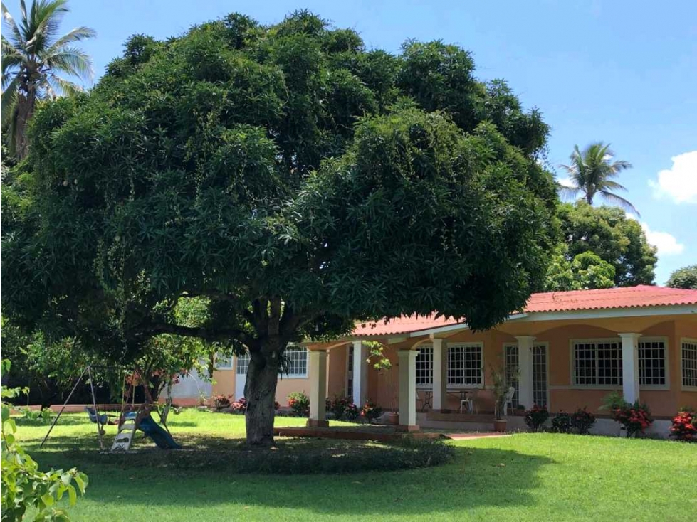 VENTA DE CASA EN LA ERMITA DE SAN CARLOS 1900M2 — foto 6