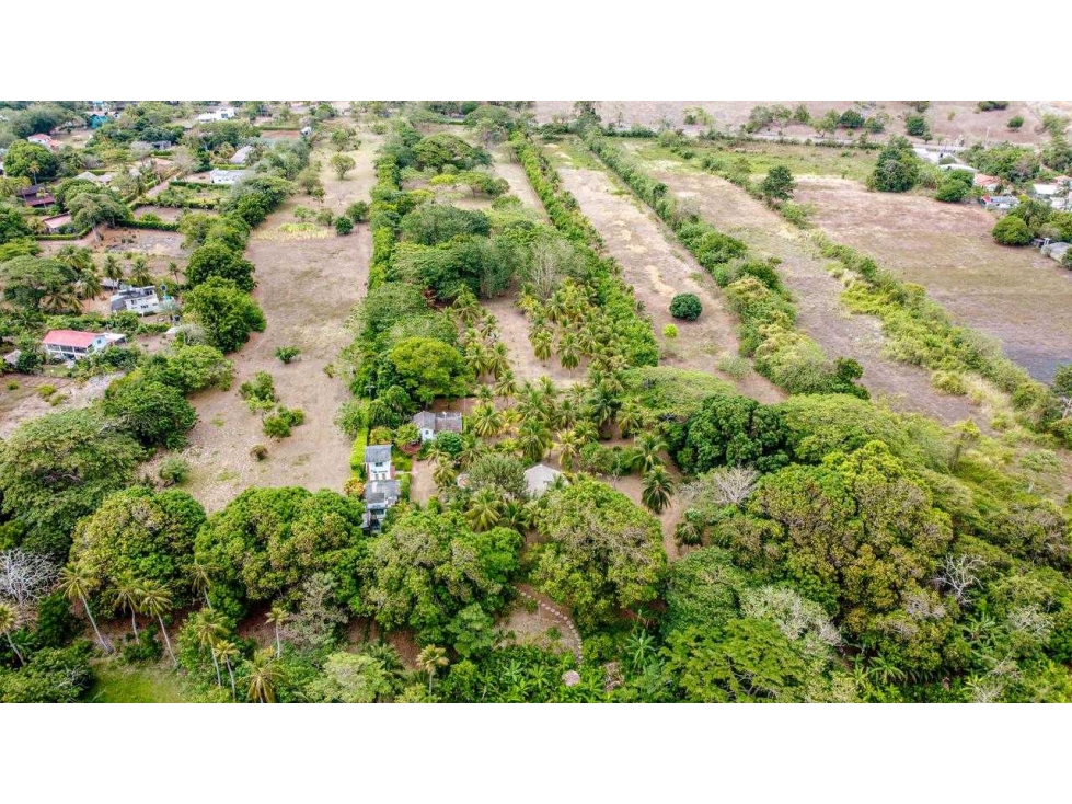 VENTA DE CASA FINCA FRENTE AL MAR VILLA AMAPOLA - 4