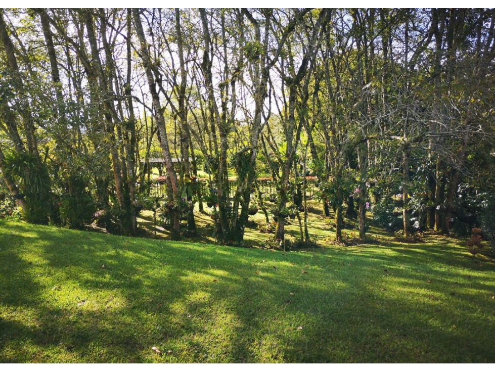 Venta de casa finca vereda El Tesoro, Carmen de Viboral - 3