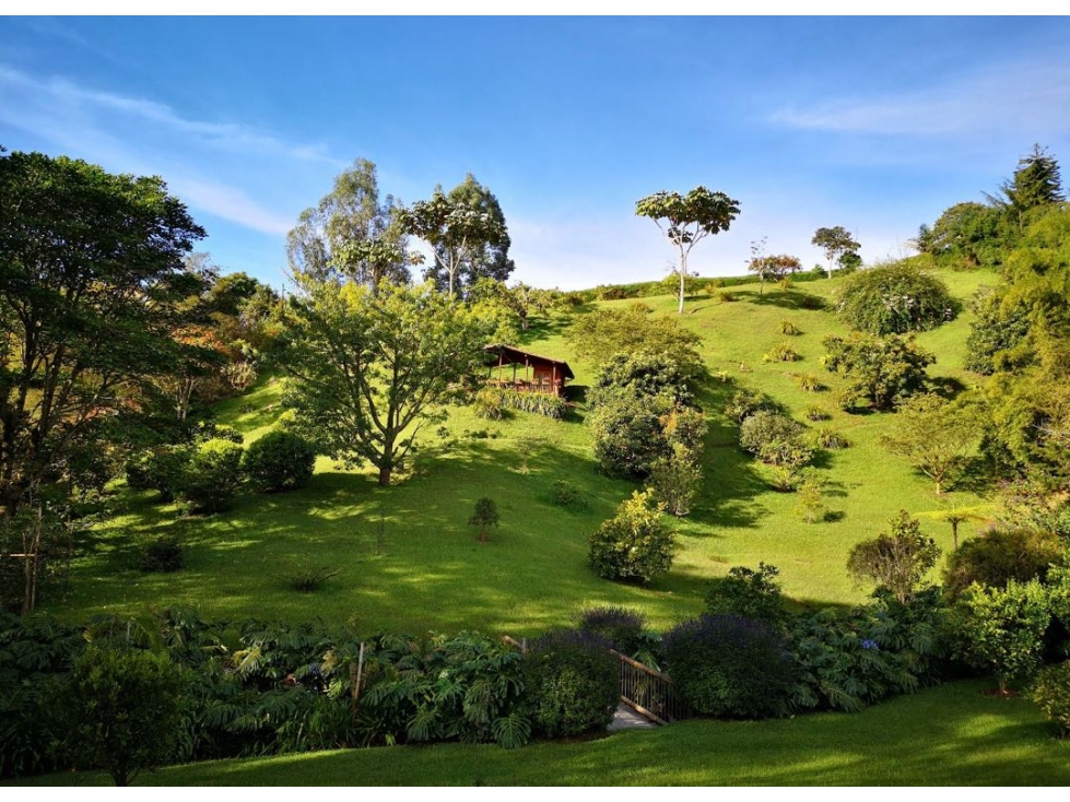 Venta de casa finca vereda El Tesoro, Carmen de Viboral - 5