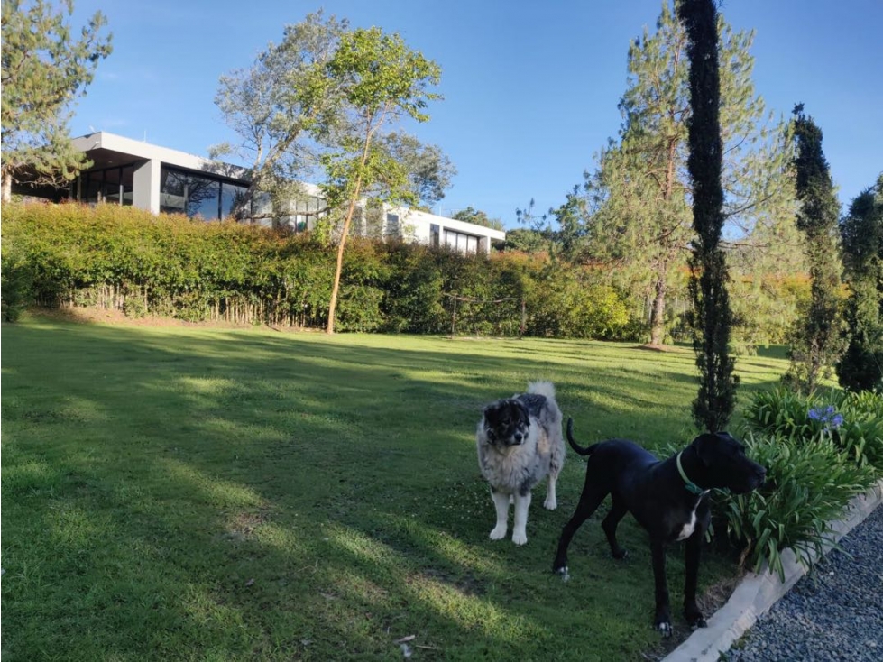 VENTA DE CASA, INDEPENDIENTE, SECTOR ALTO DE PALMAS — foto 5