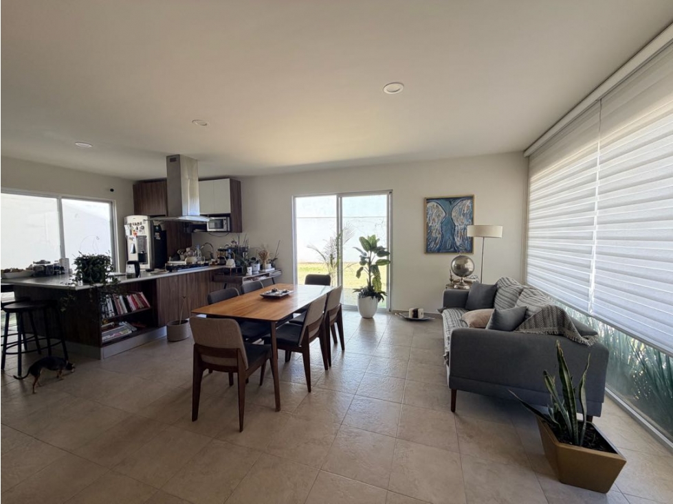 Venta de Casa con Jardín y Terreno Excedente en Madelaine Pachuca — foto 4