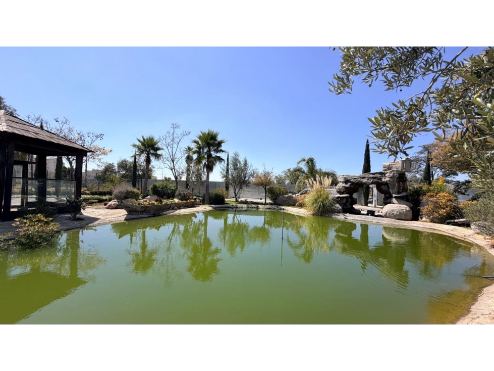 Venta de Departamento Nuevo en Dion Residencial Pachuca — foto 4