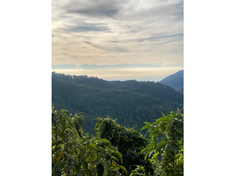 VENTA DE FINCA EN FELIDIA VALLE DEL CAUCA