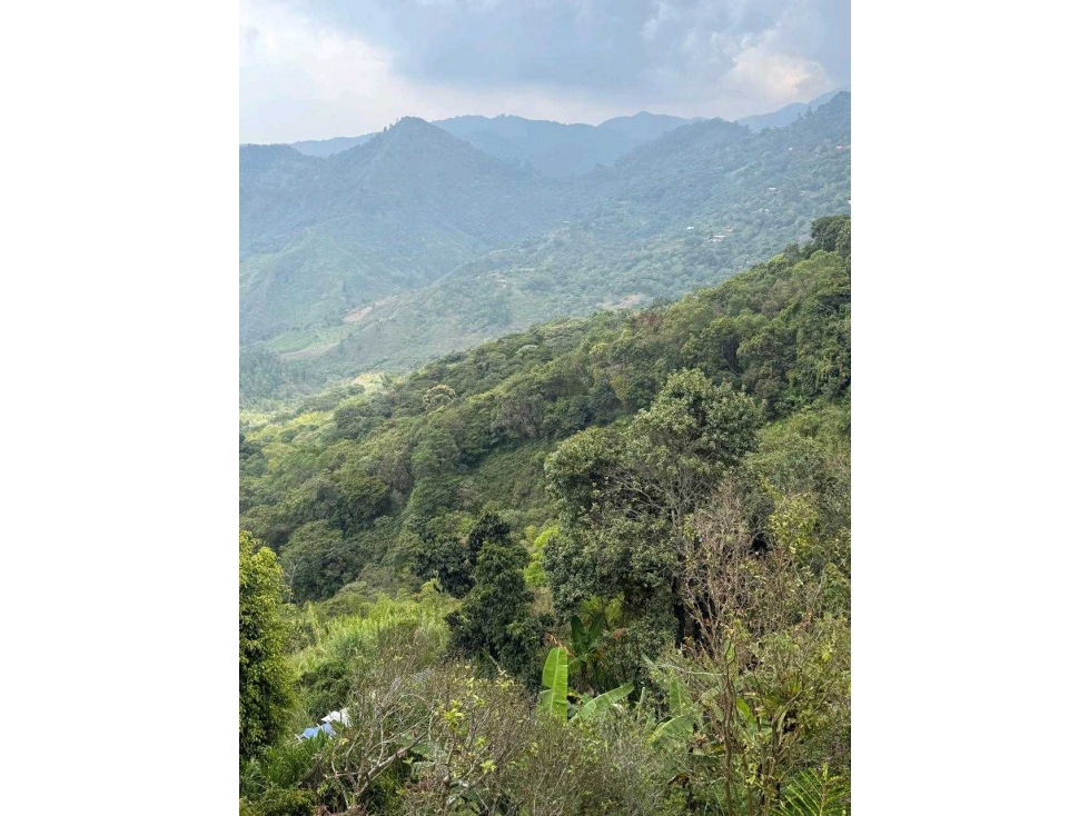 VENTA DE FINCA EN FELIDIA VALLE DEL CAUCA — foto 2