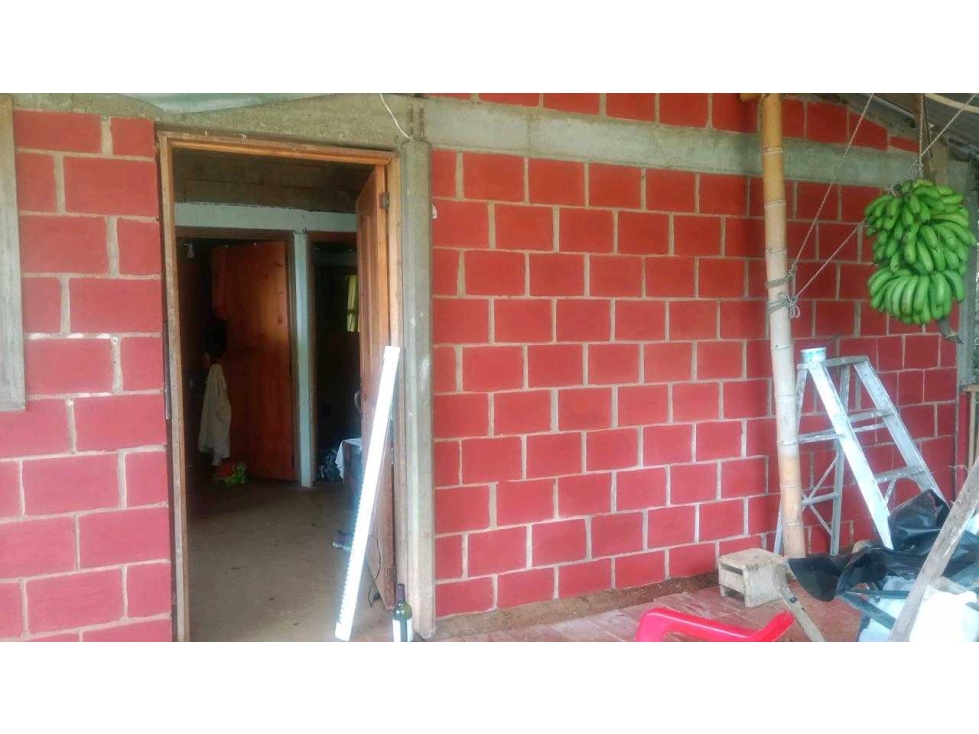 VENTA DE FINCA EN FELIDIA VALLE DEL CAUCA — foto 3