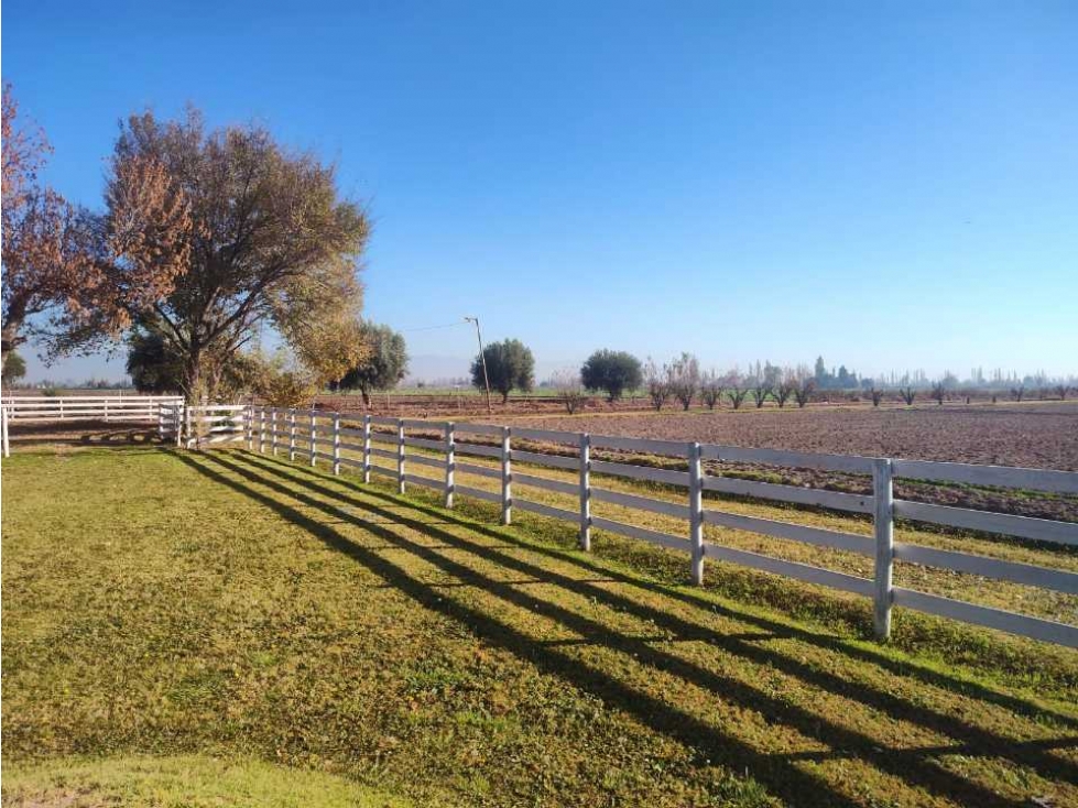 VENTA DE ESPECTACULAR FINCA 15 HAS EN FRAY LUIS BELTRÁN, MAIPÚ-MZA. - 2