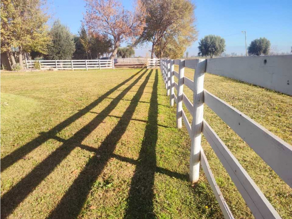 VENTA DE ESPECTACULAR FINCA 15 HAS EN FRAY LUIS BELTRÁN, MAIPÚ-MZA. - 3