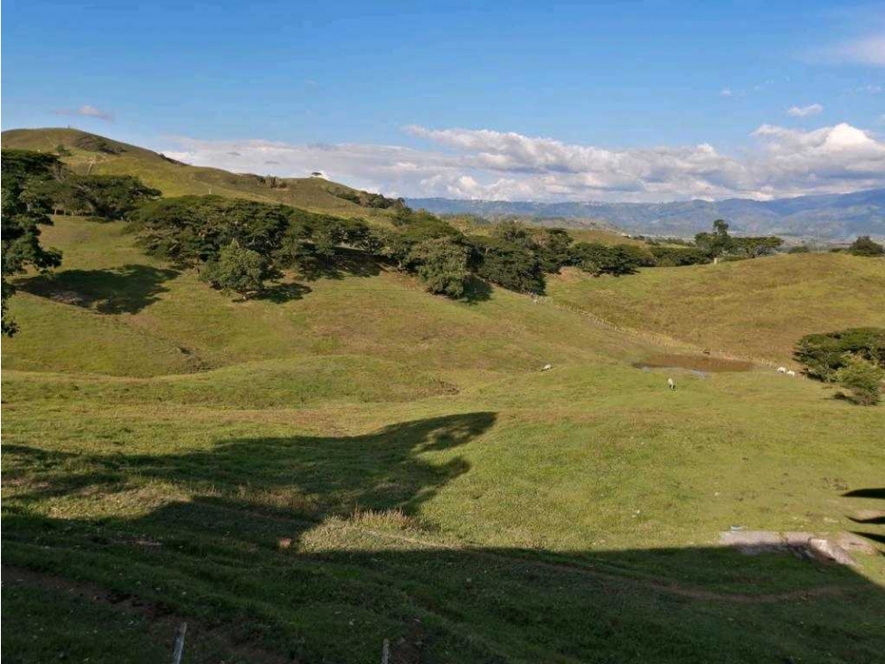 Venta de espectacular finca en Bugalagrande Valle del Cauca - 1