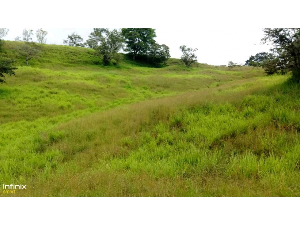 Venta de espectacular finca en Bugalagrande Valle del Cauca - 2