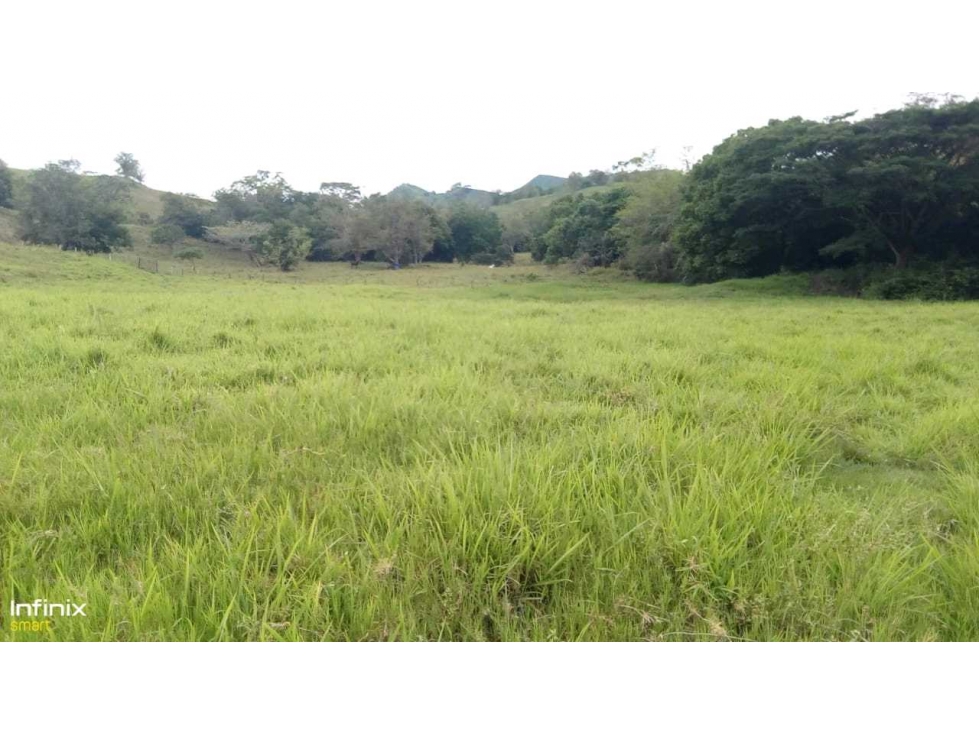 Venta de espectacular finca en Bugalagrande Valle del Cauca - 3