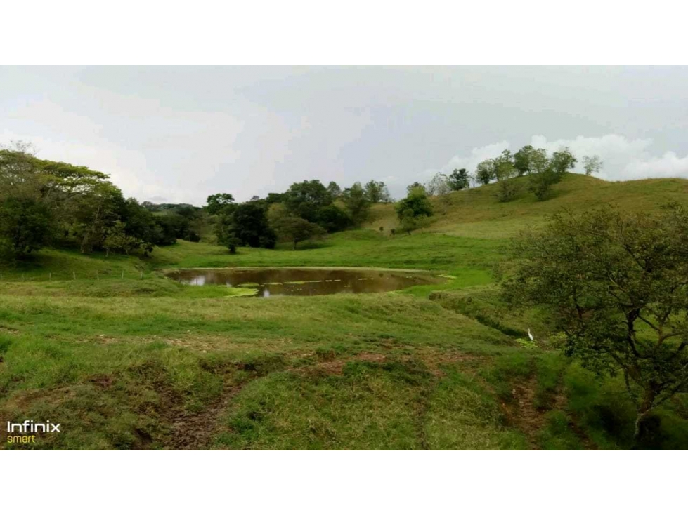 Venta de espectacular finca en Bugalagrande Valle del Cauca - 4