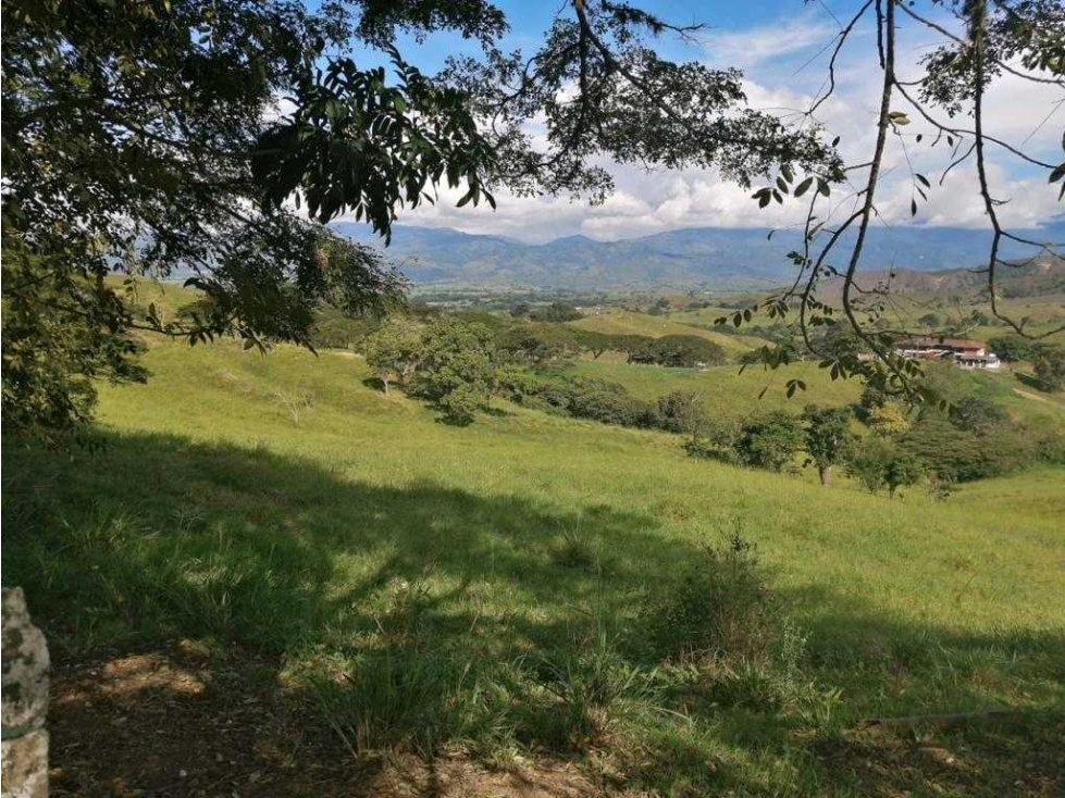 Venta de espectacular finca en Bugalagrande Valle del Cauca - 5