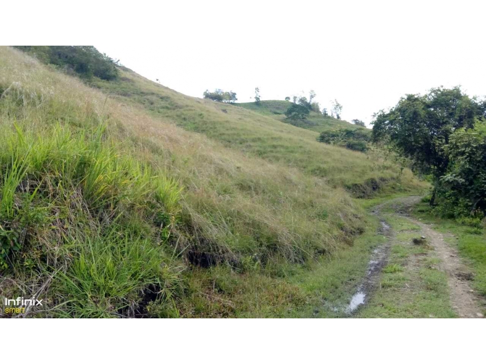 Venta de espectacular finca en Bugalagrande Valle del Cauca - 6