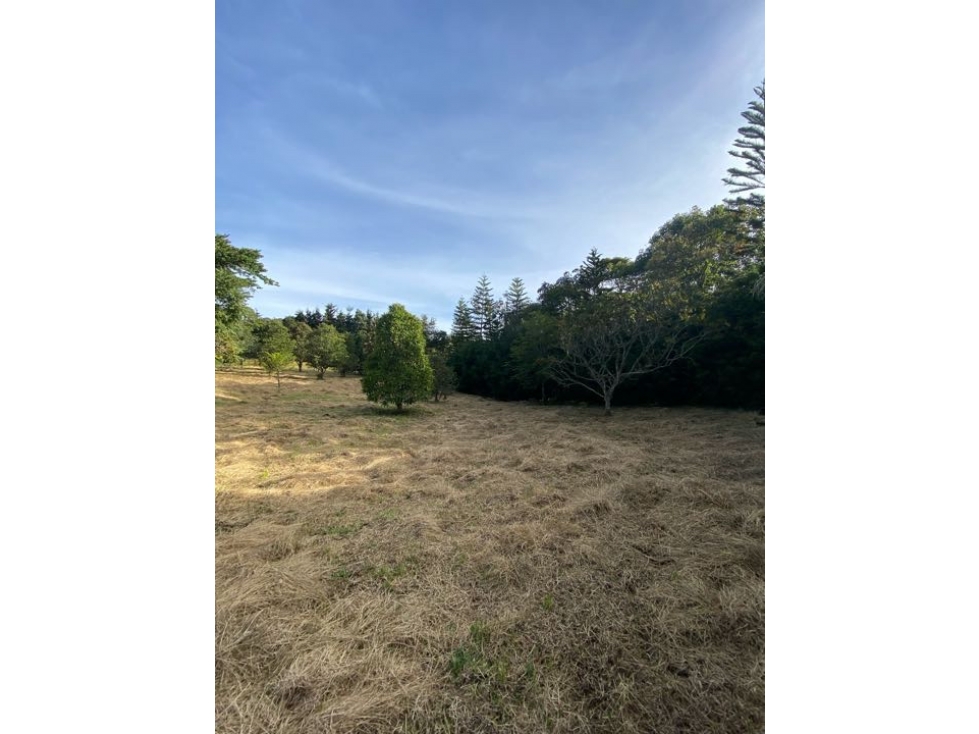 Venta de lote en el alto de palmas. — foto 4