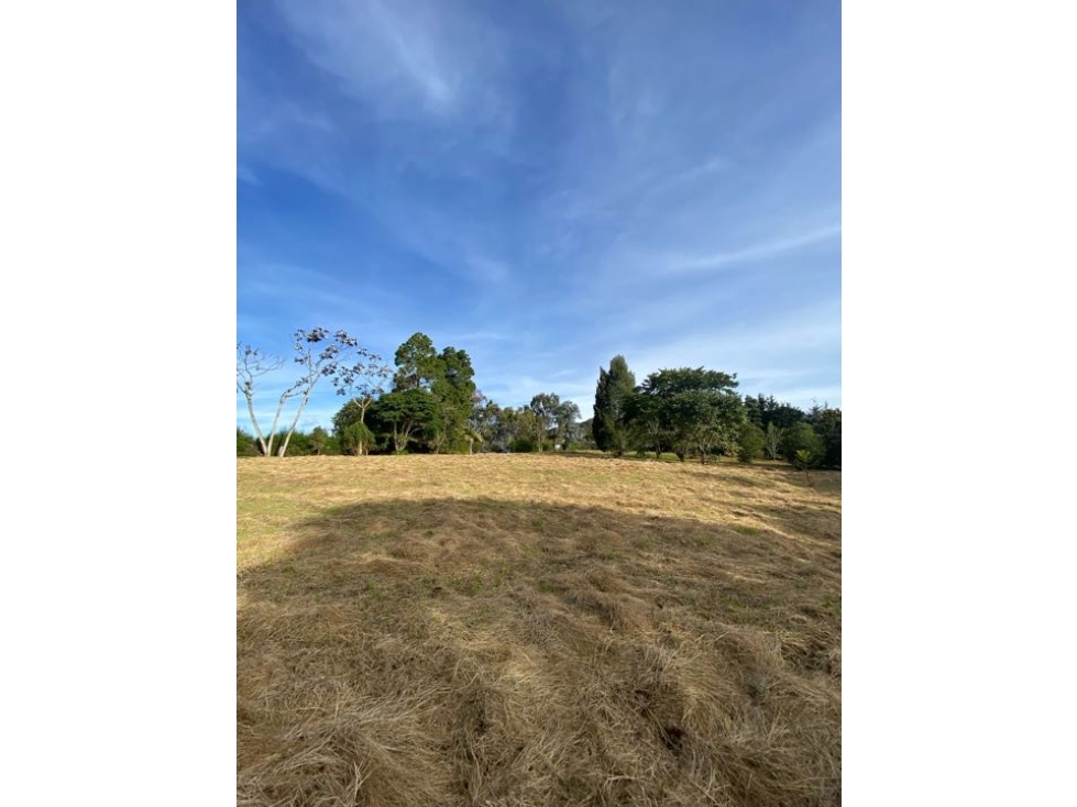 Venta de lote en el alto de palmas. — foto 6