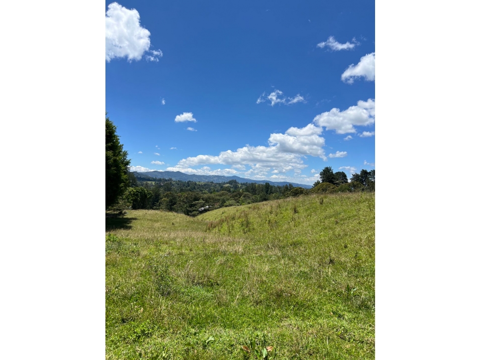 VENTA DE LOTE PONTEZUELA — foto 2