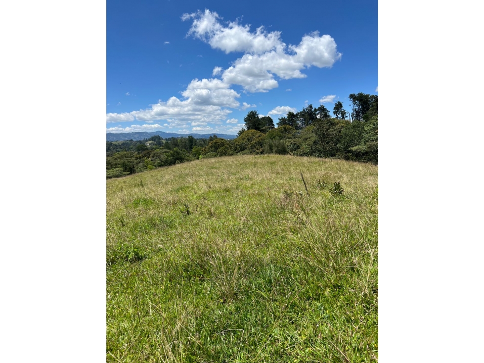VENTA DE LOTE PONTEZUELA — foto 3
