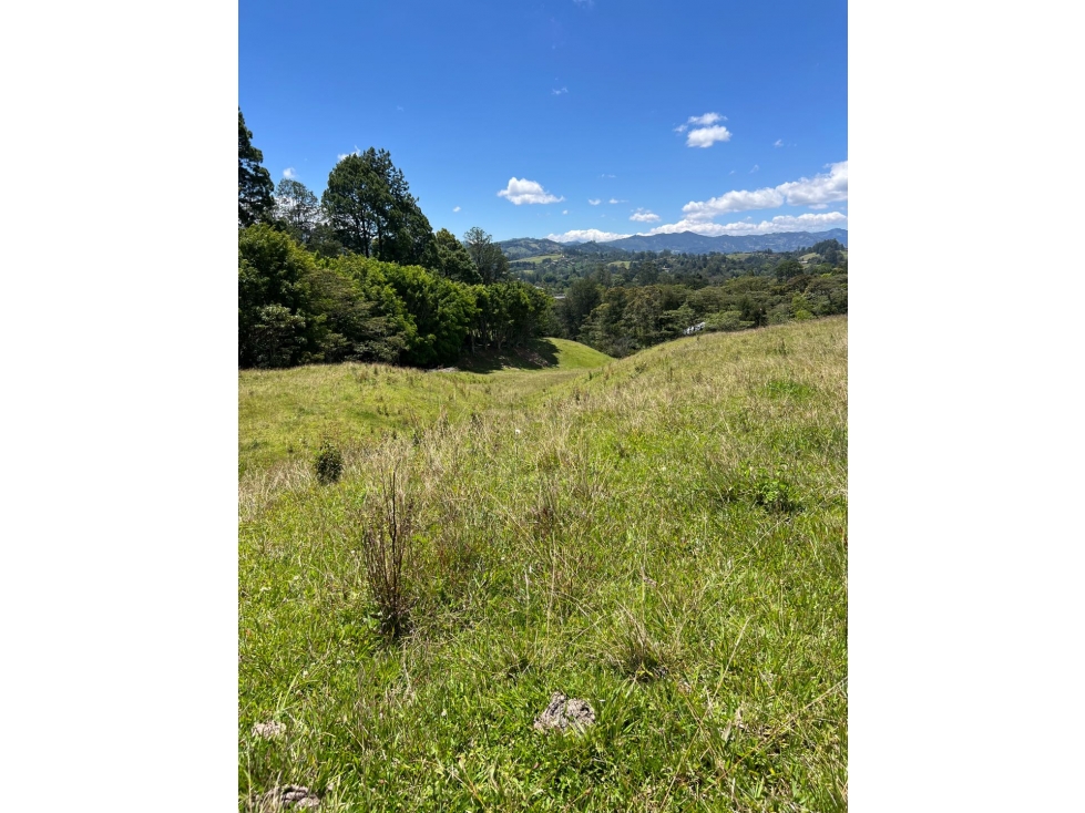 VENTA DE LOTE PONTEZUELA — foto 5