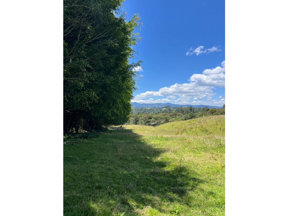 VENTA DE LOTE PONTEZUELA — foto 6