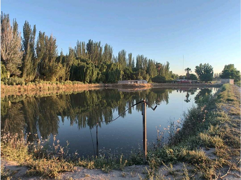 VENTA DE EXCELENTE FINCA 30 HAS EN LOS BARRIALES JUNIN - 5