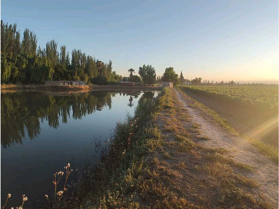 VENTA DE EXCELENTE FINCA 30 HAS EN LOS BARRIALES JUNIN - 6