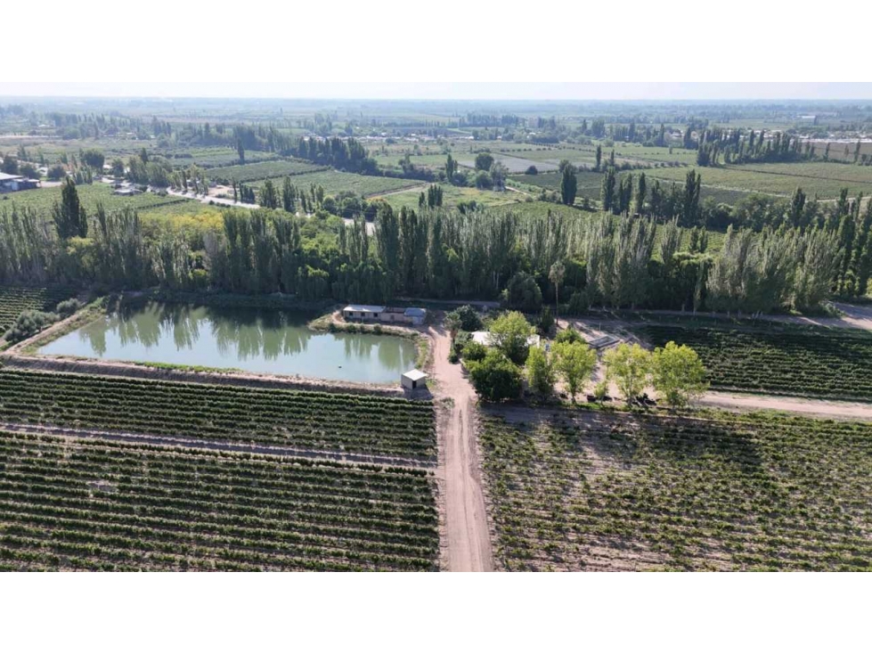 VENTA DE EXCELENTE FINCA 30 HAS EN LOS BARRIALES JUNIN - 2