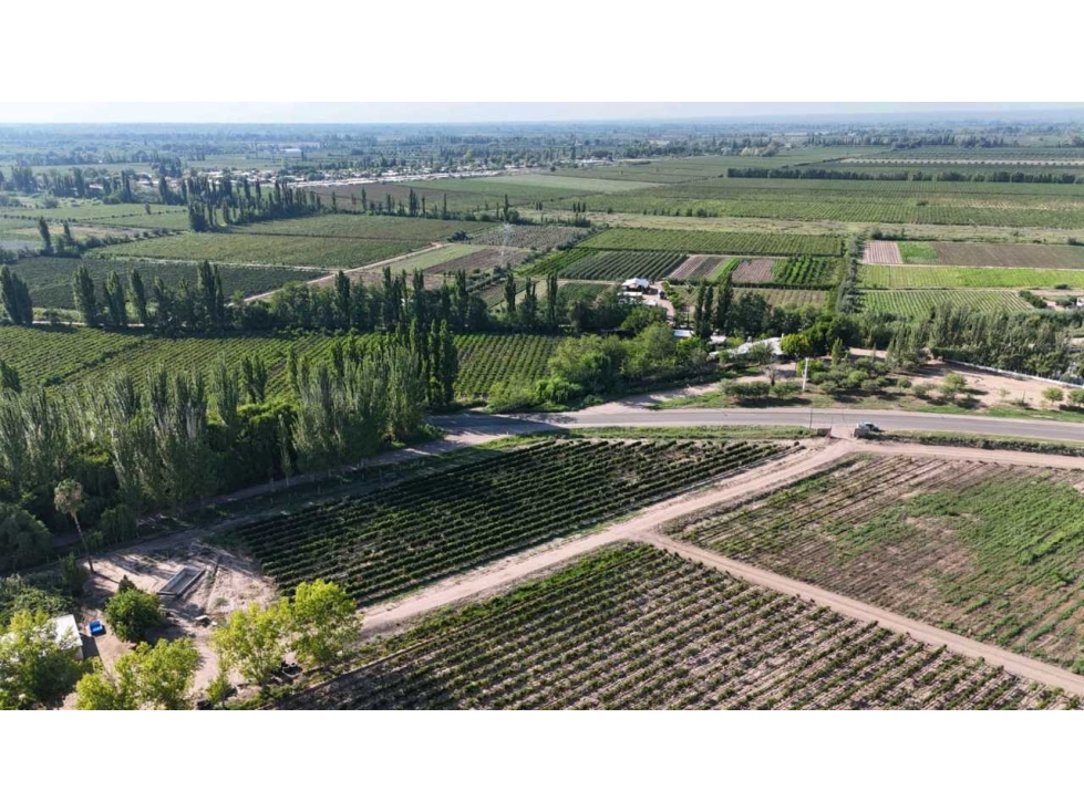 VENTA DE EXCELENTE FINCA 30 HAS EN LOS BARRIALES JUNIN - 3